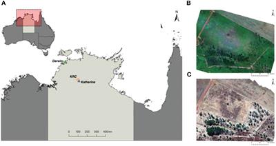 Supplementing aerial drone surveys with biotelemetry data validates wildlife detection probabilities